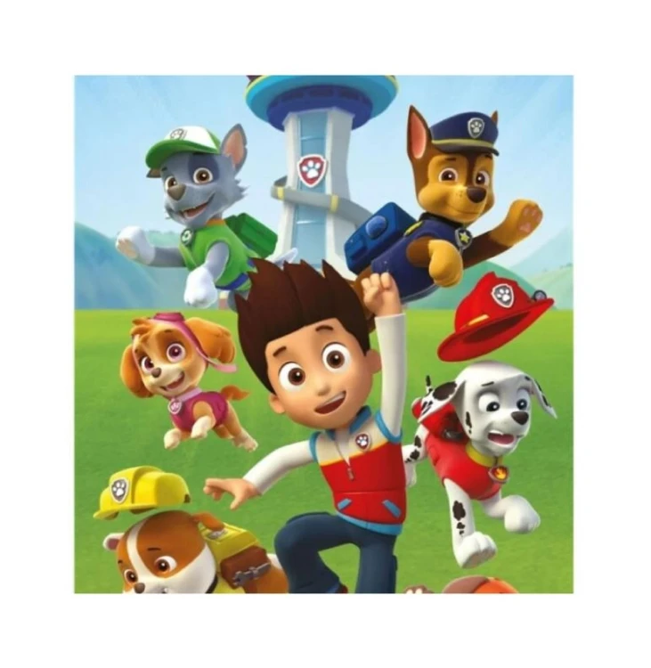 ręcznik paw patrol psi patrol ryder (3).webp