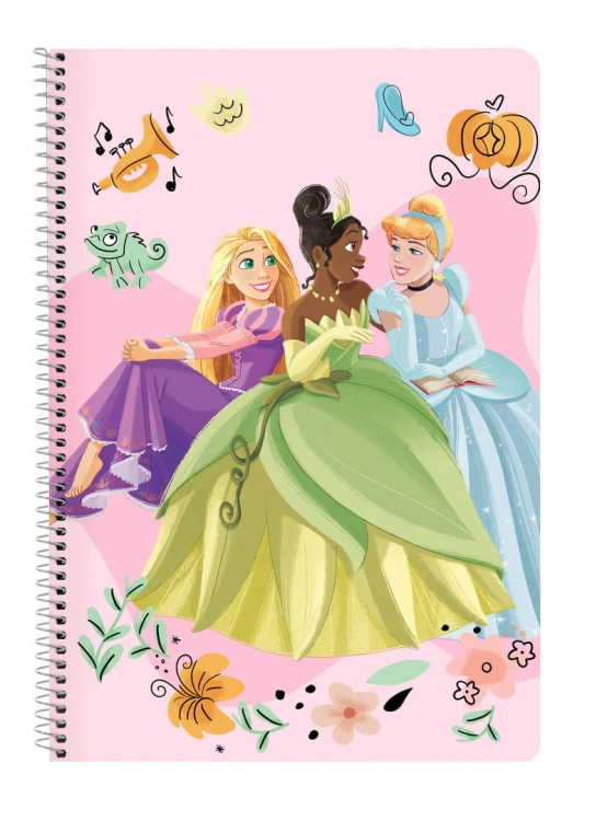 zeszyt kratka disney ksieżniczki a4 przód.jpg